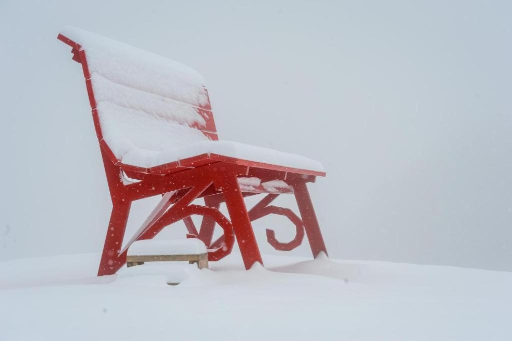 Chalet Montana - Le Case Di Bart Prato Nevoso Dış mekan fotoğraf